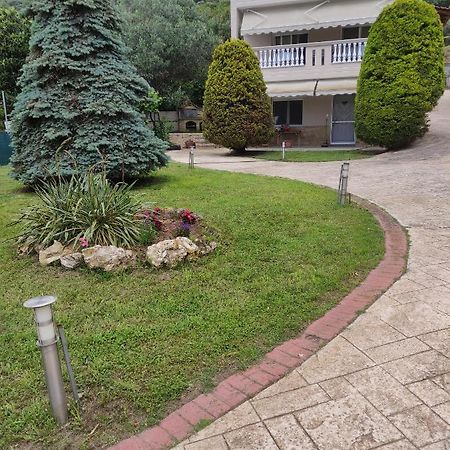 PalaiónTsiflíkionGarden House别墅 外观 照片