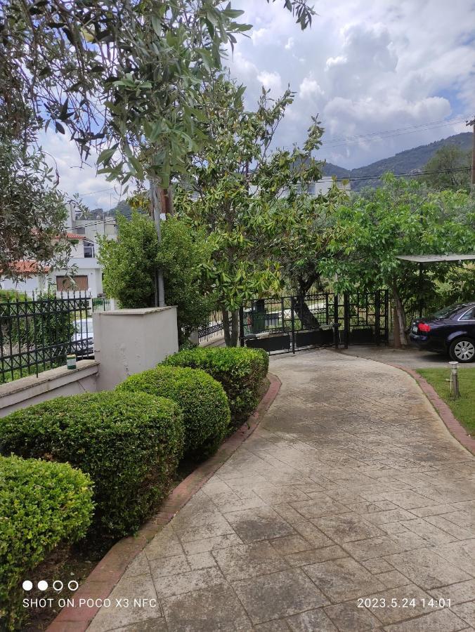 PalaiónTsiflíkionGarden House别墅 外观 照片