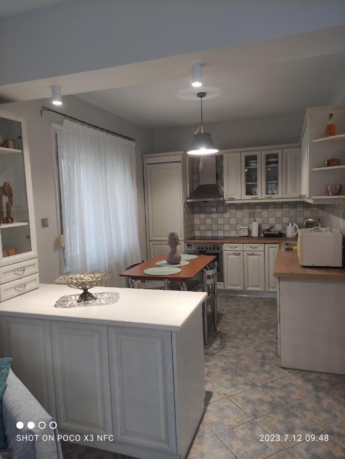 PalaiónTsiflíkionGarden House别墅 外观 照片